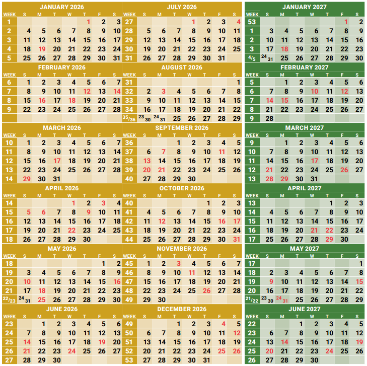 Petunia White - 4.0"