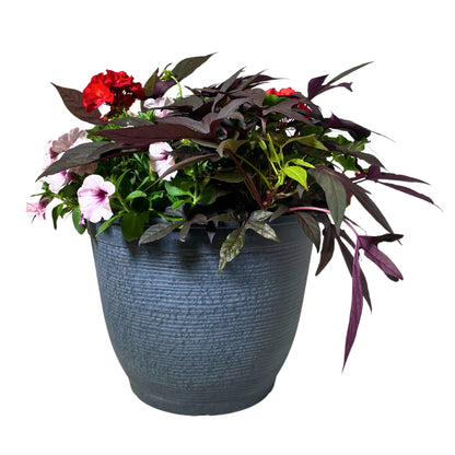 Geranium Pink with Spike - 16"