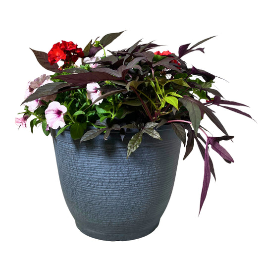 Geranium Pink with Spike - 16"