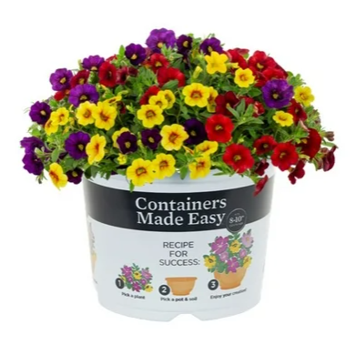 Hawaiian Hilo Combo - 8"