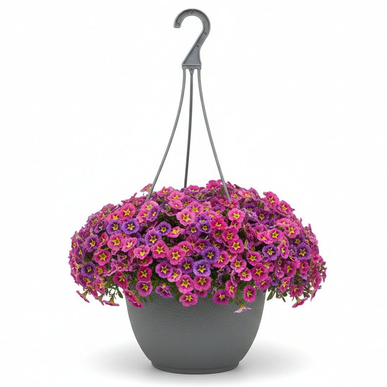 Powers that Bee - 10"