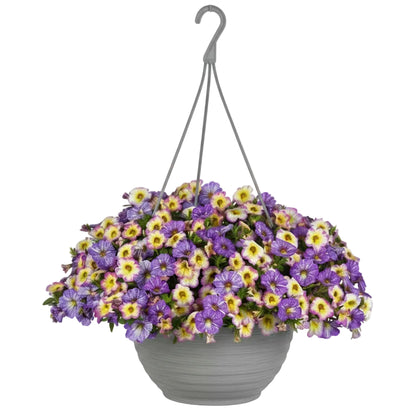 Pretty Pastels - 10"