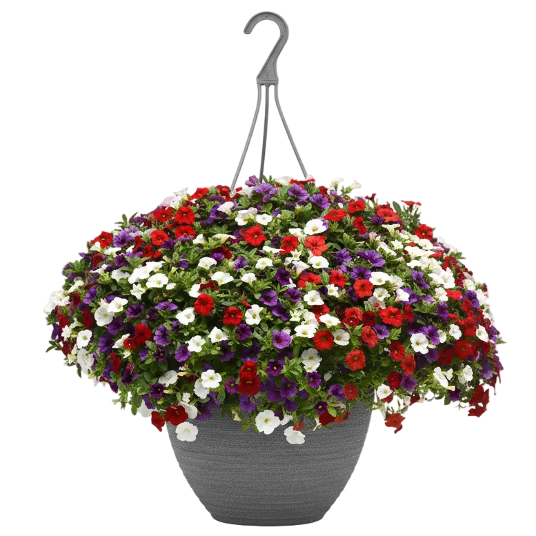 Spirits United - 10"